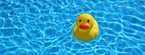 Ente in Pool